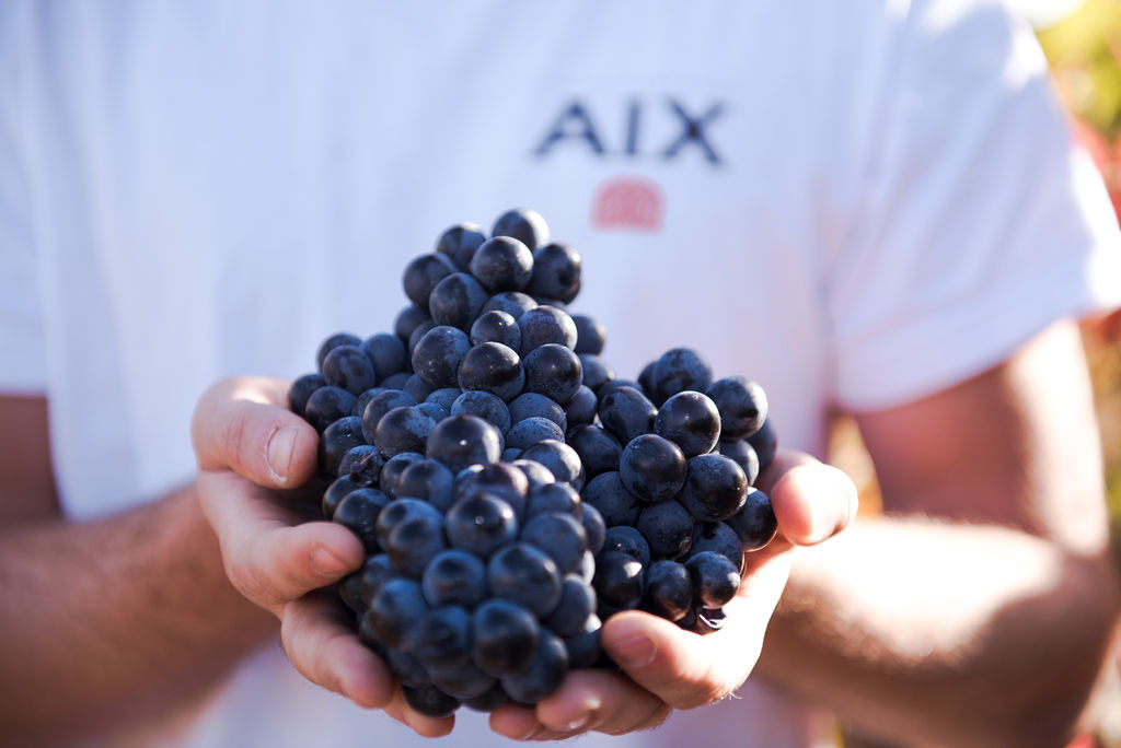 AIX healthy grapes